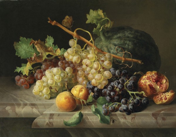 Fruit still life with pomegranate, grapes and melon, painting by Josef Lauer (1818, 1881), Austrian