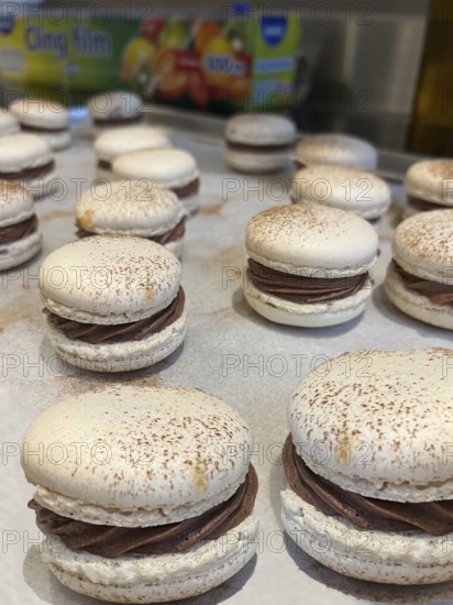 Freshly baked macarons with chocolate gingerbread ganache, Vienna, Austria, Europe