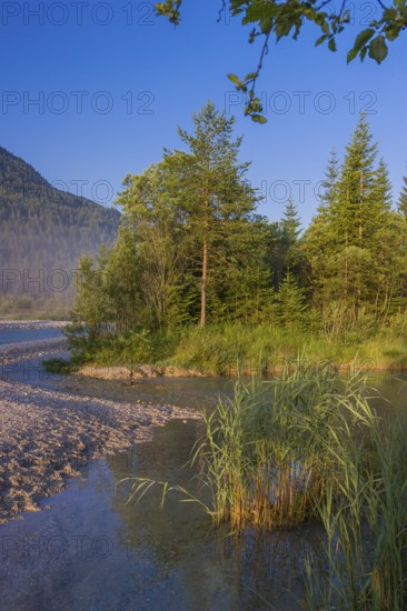 Isar valley nature conservancy area. The wild Isar river flows through its gravel bed past