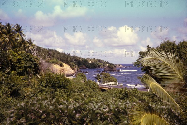Coastal landscape bridge on coast road, Balandra, Trinidad 1963