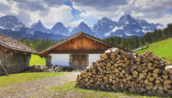 Forestry, timber industry, firewood stacked in front of a farmhouse, AI generated, AI generated