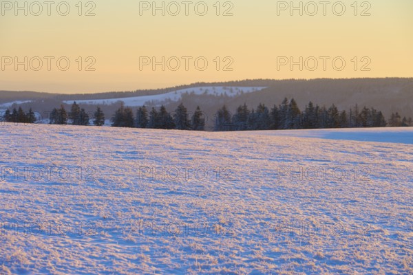 Snow-covered landscape with trees on the horizon in the light of sunrise, winter, Wasserkuppe,