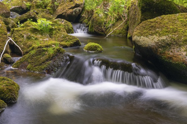 Kleine Ohe creek below Waldhaeuser village in the Bavarian Forest Nationalpark. Flowing water,