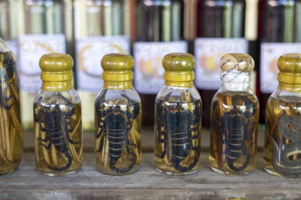 Choum, rice liquor, rice wine with pickled scorpions and Snakes for sale, Laos, Asia