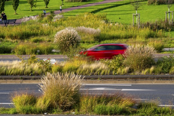 Greenery in the city centre, flower and plant beds, along Altendorfer Strasse, road traffic, in