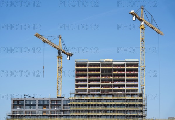 Construction site, new construction of high-rise residential buildings, Havenkwartier Katendrecht