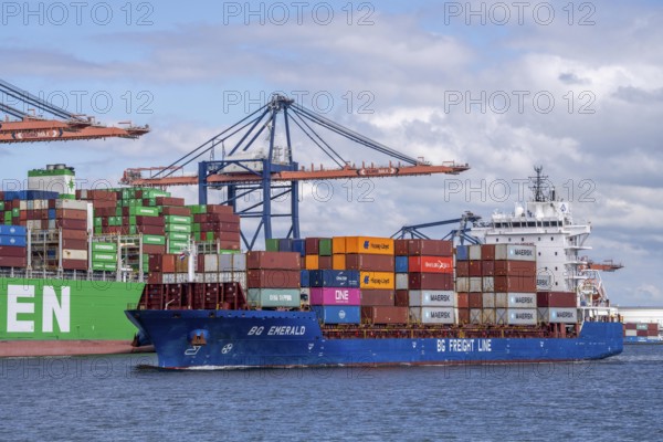 Euromax Container Terminal, BG Emerald of BF Fright Line, container feedership, container freighter