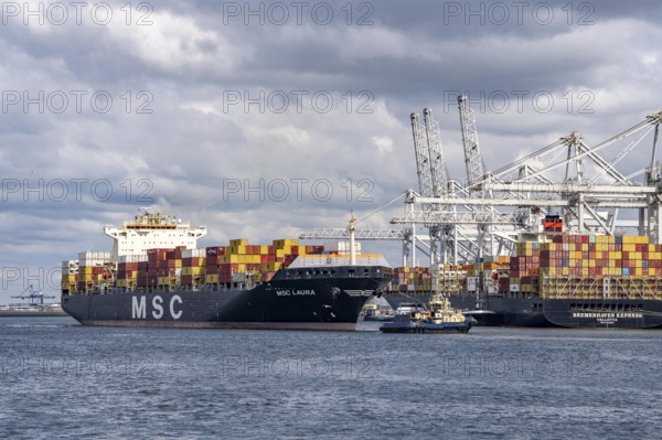 ECT Delta Container Terminal, in Europahaven, MSC Laura container freighter being towed by harbour