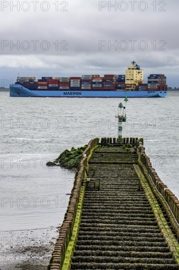 The Danish container ship Vistula Maersk is sailing towards the port of Antwerp, here in the