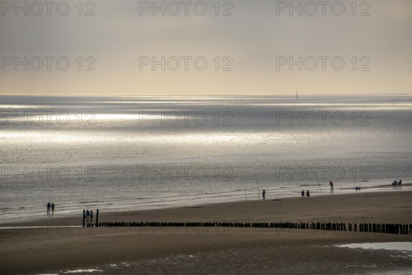 Evening mood on the North Sea beach near Zoutelande, Zeeland, anglers, walkers, breakwater,