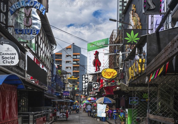 Nightlife Signpost Forest Soi Cowboy, Bangkok, Thailand, Asia