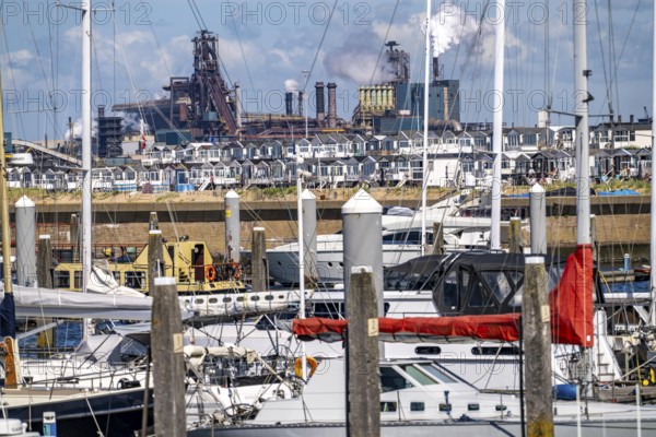 Seaport Marina IJmuiden, marina, sailing boats, yachts, behind the Tata Steel steel and smelting
