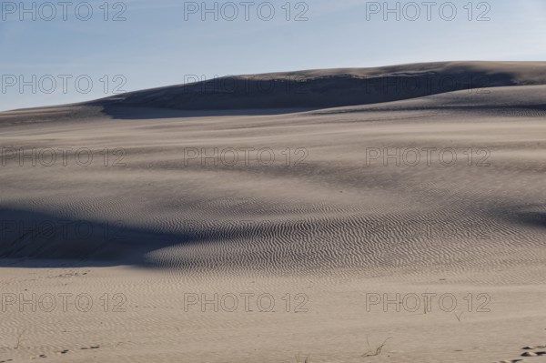 Dune landscape around the Lontz Dune, Wydma Lacka, the largest travelling dune on the Polish Baltic