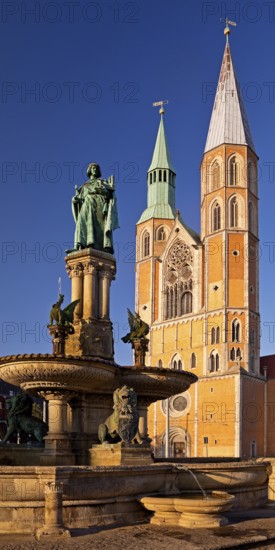 Henry's Fountain in honour of Henry the Lion in front of St. Catherine's Church, St. Catherine's,