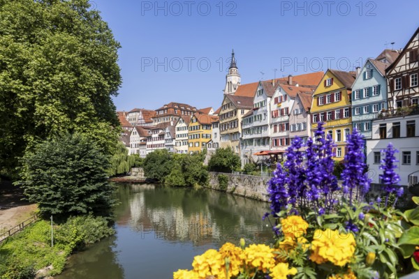Tübingen Neckarfront with Neckar and historic facades. Postcard motif with collegiate church and