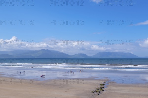 Windsurfer at Inch Beach, Dingle Bay, Dingle Peninsula, County Kerry, Ireland, Europe