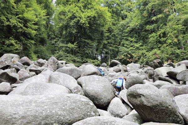 The famous rock boulder in the Odenwald above Lautertal-Reichenbach