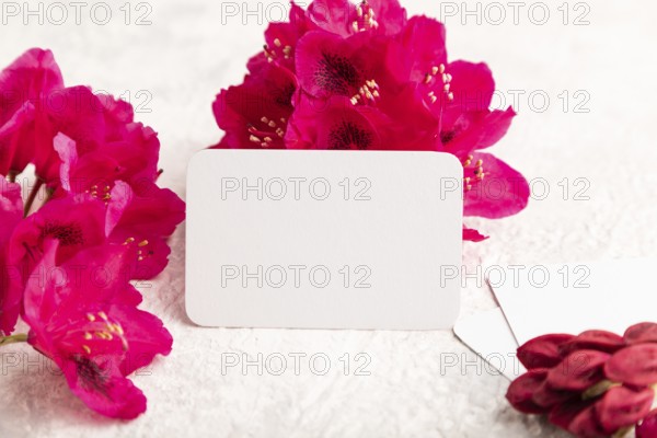 White business card with purple azalea flowers on gray concrete background. side view, copy space,