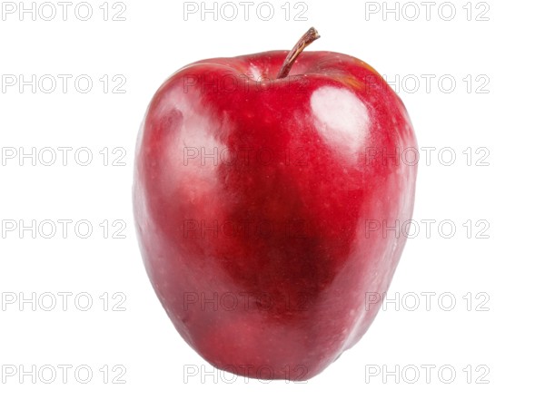 One red apple isolated on white background. closeup