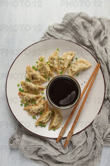 Japanese Gyoza dumplings, fried, with sauce, top view, without people, tinted, selective focus