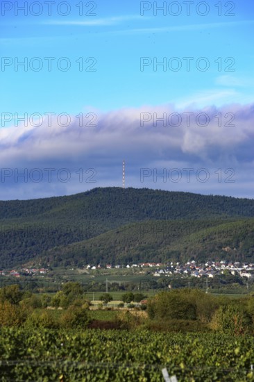 Panorama from the Haardtrand with a view of the Palatinate Forest