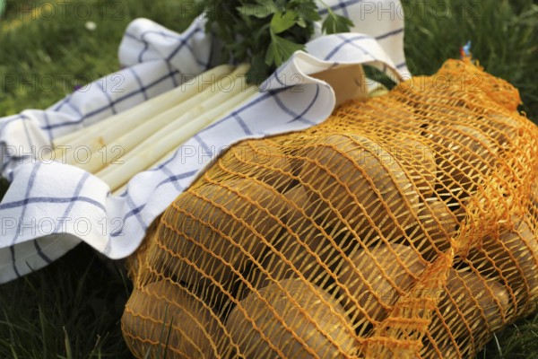 Asparagus and potatoes decorated in grass