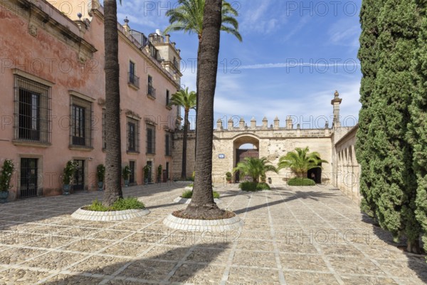 Sunny courtyard with palm trees and a historic building with a pink façade, Jerez