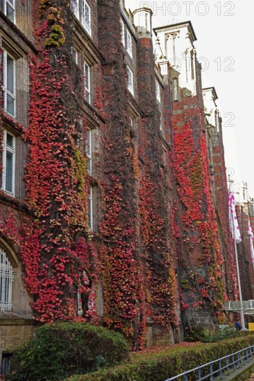 Europe, Germany, Hamburg, Rotherbaum, architecture, facade post office building, former