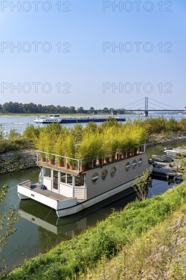 Houseboat with roof garden at the Rhine harbour on Robert-Lehr-Ufer, in Düsseldorf, in the