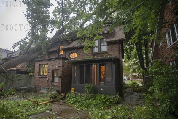 Detroit, Michigan, A storm with 70mph wind gusts blew down a 15-ton, 110-foot cottonwood, damaging