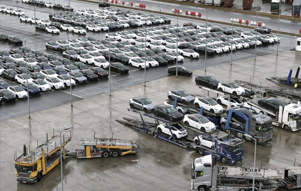 Tesla Y new cars are loaded onto car transporters at the Tesla Giga Factory, Grünheide, 25.09.2024