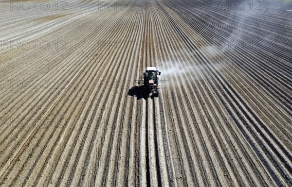 Tractor dragging a plume of dust behind it while working a potato field, Münchenberge, 20/05/2020