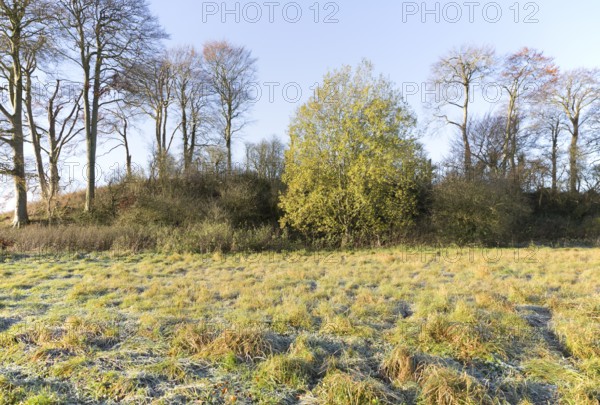 Neolithic long barrow in chalk downland countryside near East Kennett, Wiltshire, England, UK