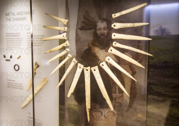 Wolf teeth necklace display relating to Bronze Age shamanism and magic. With permission of