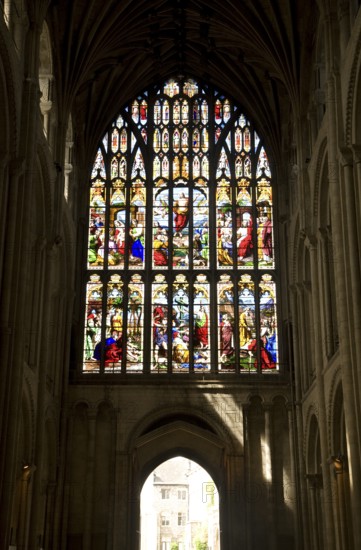 Stained glass window, Norwich cathedral, Norwich, Norfolk, England, UK