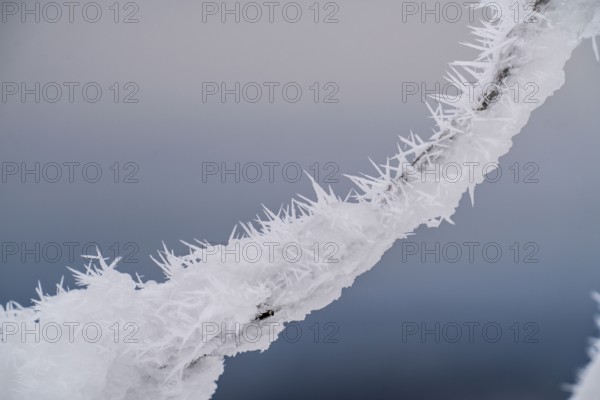 Snow-covered and icy fence, winter in Sauerland, Hochsauerlandkreis, at Kahler Asten, near