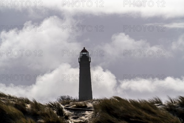 Dune landscape, New lighthouse, Borkum, island, East Frisia, winter, season, autumn, Lower Saxony,