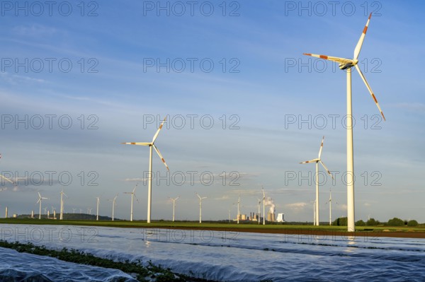 Neurath lignite-fired power station, RWE Power AG, wind farm partly owned by RWE, Grevenbroich,