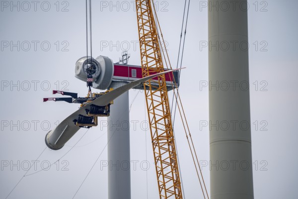 Erection of an Enercon E-160 wind turbine, rear, assembly of the first blade, 4 turbines with a