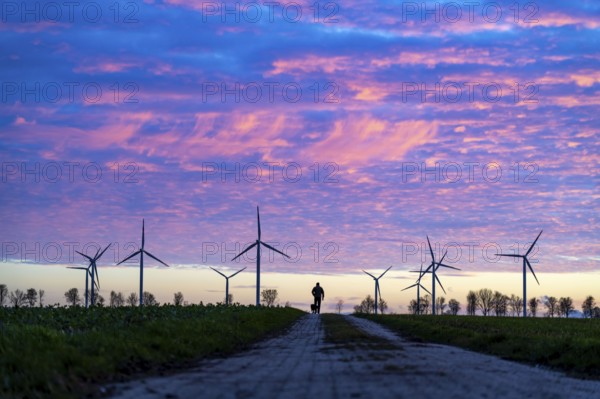 Wind farm near Holzweiler, town of Erkelenz, wind turbines, man walking his dog, North