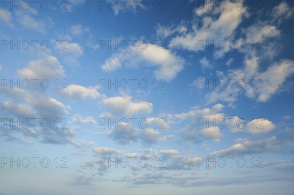 Fleecy clouds adorn the blue evening sky