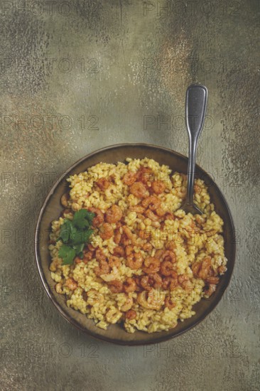 Risotto with shrimp, in a bowl, on a textured surface, with a side dish of fresh coriander,