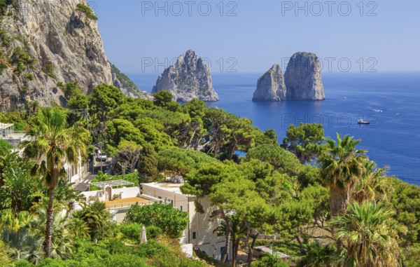 South coast with the Faraglioni rocks, the island's landmarks, Capri, Campanian Archipelago, Gulf