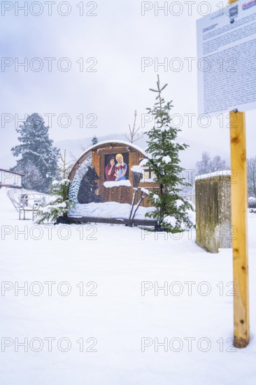 A festive nativity scene scene on a snow-covered site with small fir trees, Enzklösterle, Calw