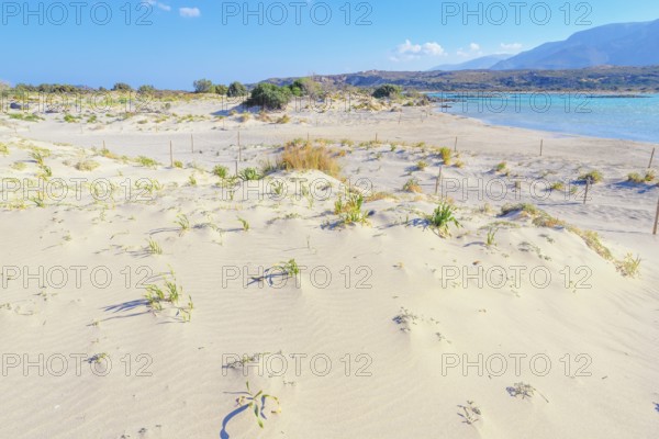 Elafonisi beach, Chania, Crete, Greek Islands, Greece, Europe