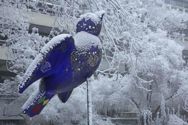 Blue Ulm sparrow with hoarfrost, ice and snow in winter, iced, sculpture, landmark, bird figure,