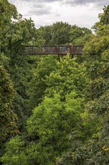 Visitors on the Treetop Walkway, steel structure, Royal Botanic Gardens (Kew Gardens), UNESCO World