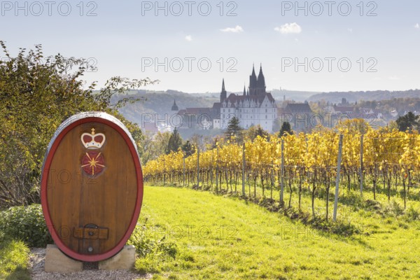 Viewpoint over the Proschwitz vineyards to Albrechtsburg Castle and Meissen Cathedral, Saxony,