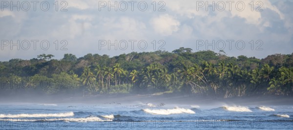 Coastal landscape, sea and sandy beach with rainforest, Corcovado National Park, Osa Peninsula,