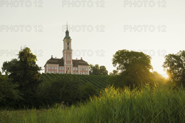 Birnau pilgrimage church and vineyards, sunrise, Uhldingen-Mühlhofen, Lake Constance,